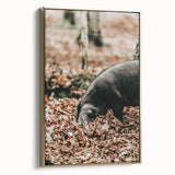 Farmhouse Wall Art - Pig Foraging in Autumn Leaves with Rustic Charm