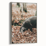 Farmhouse Wall Art - Pig Foraging in Autumn Leaves with Rustic Charm