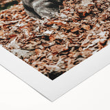 Farmhouse Wall Art - Pig Foraging in Autumn Leaves with Rustic Charm