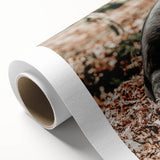 Farmhouse Wall Art - Pig Foraging in Autumn Leaves with Rustic Charm