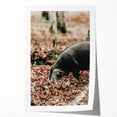 Farmhouse Wall Art - Pig Foraging in Autumn Leaves with Rustic Charm