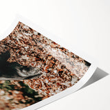 Farmhouse Wall Art - Pig Foraging in Autumn Leaves with Rustic Charm