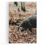 Farmhouse Wall Art - Pig Foraging in Autumn Leaves with Rustic Charm