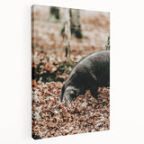 Farmhouse Wall Art - Pig Foraging in Autumn Leaves with Rustic Charm
