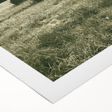 Farmhouse Wall Art - Serene Hay Bales in Open Field with Rustic Charm