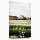 Farmhouse Wall Art - Tranquil Green Field with Trees and Rustic Charm