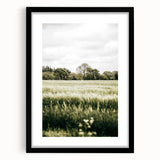Farmhouse Wall Art - Tranquil Green Field with Trees and Rustic Charm