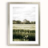 Farmhouse Wall Art - Tranquil Green Field with Trees and Rustic Charm