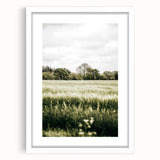 Farmhouse Wall Art - Tranquil Green Field with Trees and Rustic Charm