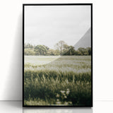 Farmhouse Wall Art - Tranquil Green Field with Trees and Rustic Charm
