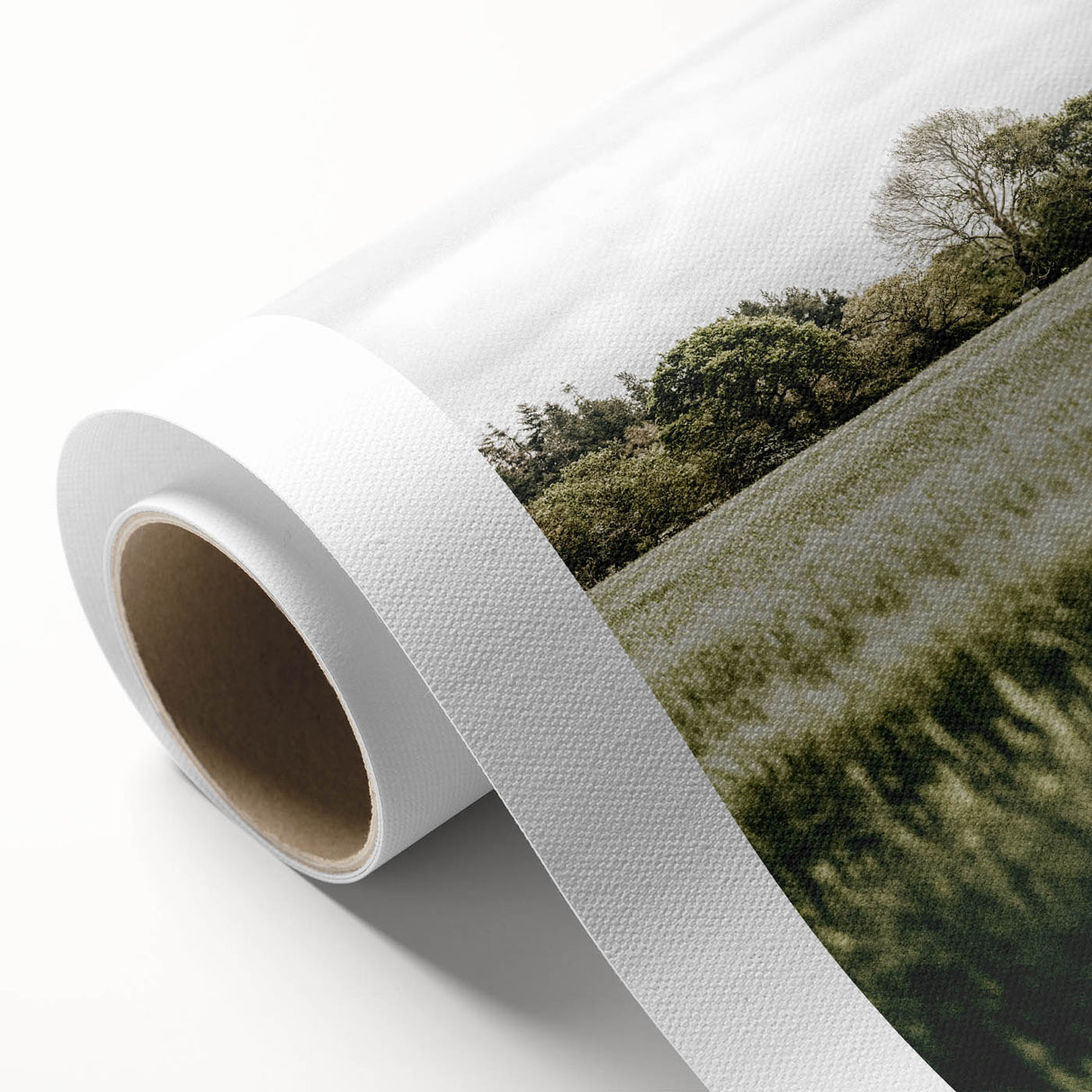 Farmhouse Wall Art - Tranquil Green Field with Trees and Rustic Charm
