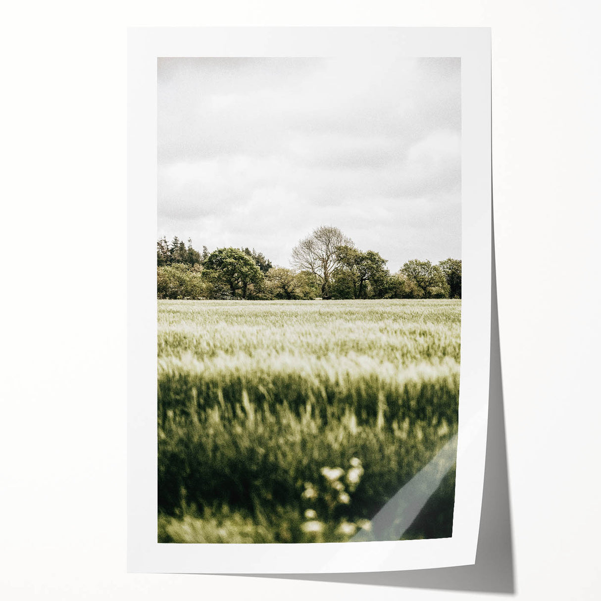 Farmhouse Wall Art - Tranquil Green Field with Trees and Rustic Charm