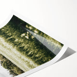 Farmhouse Wall Art - Tranquil Green Field with Trees and Rustic Charm