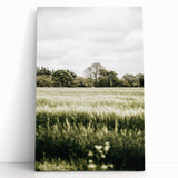 Farmhouse Wall Art - Tranquil Green Field with Trees and Rustic Charm