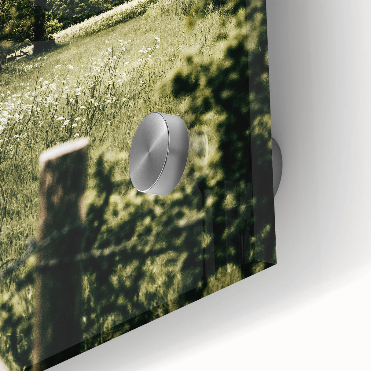 Farmhouse Wall Art - Scenic Tree-Lined Field with Rustic Country Charm