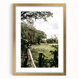 Farmhouse Wall Art - Scenic Tree-Lined Field with Rustic Country Charm
