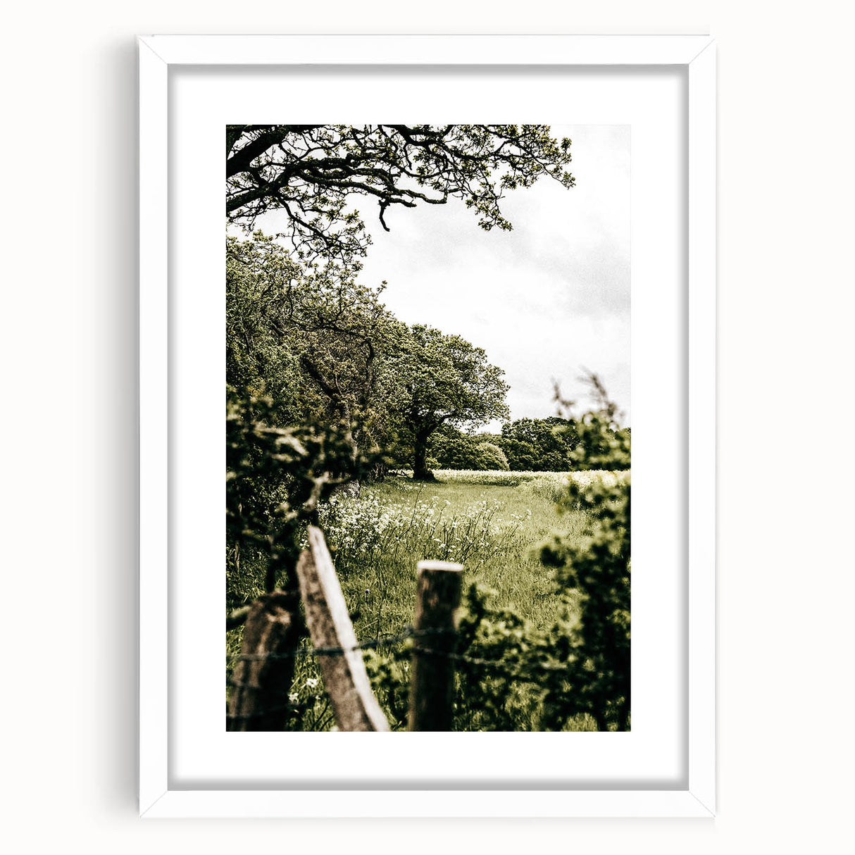 Farmhouse Wall Art - Scenic Tree-Lined Field with Rustic Country Charm