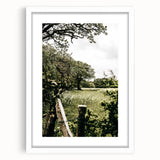 Farmhouse Wall Art - Scenic Tree-Lined Field with Rustic Country Charm