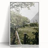 Farmhouse Wall Art - Scenic Tree-Lined Field with Rustic Country Charm