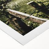 Farmhouse Wall Art - Scenic Tree-Lined Field with Rustic Country Charm