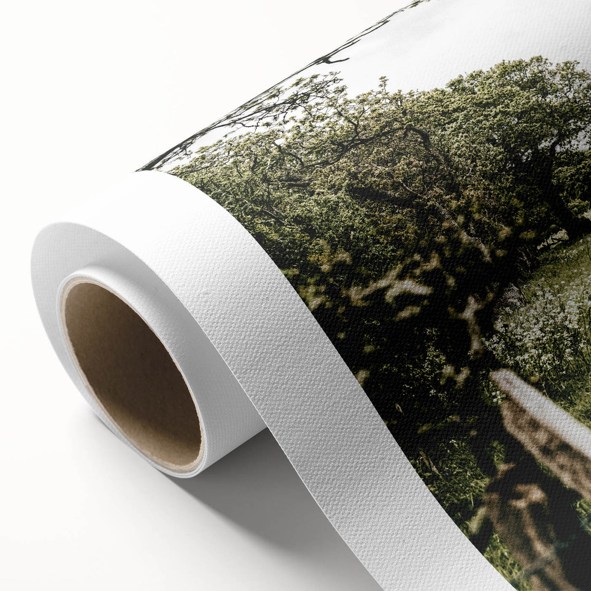 Farmhouse Wall Art - Scenic Tree-Lined Field with Rustic Country Charm