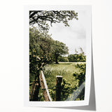 Farmhouse Wall Art - Scenic Tree-Lined Field with Rustic Country Charm
