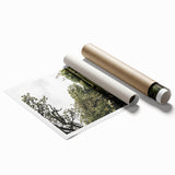 Farmhouse Wall Art - Scenic Tree-Lined Field with Rustic Country Charm