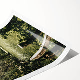 Farmhouse Wall Art - Scenic Tree-Lined Field with Rustic Country Charm