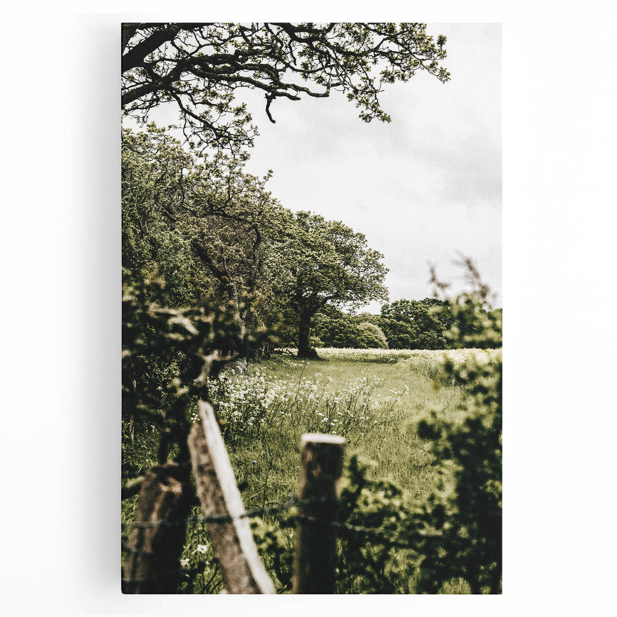 Farmhouse Wall Art - Scenic Tree-Lined Field with Rustic Country Charm