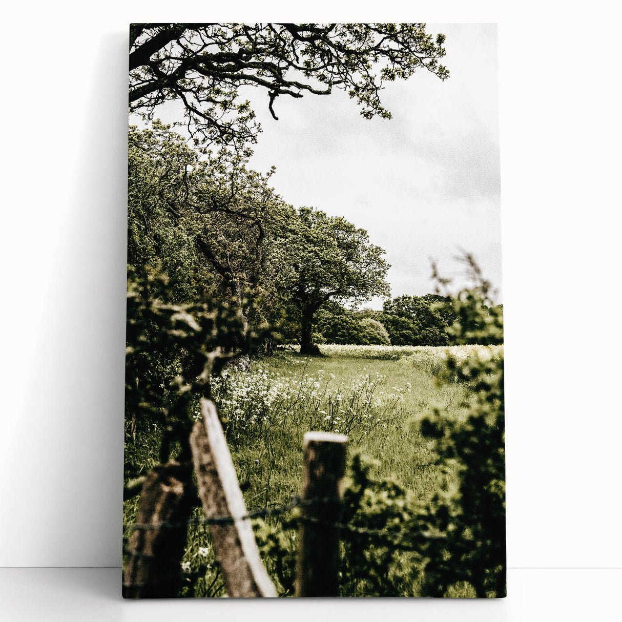 Farmhouse Wall Art - Scenic Tree-Lined Field with Rustic Country Charm