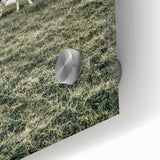 Farmhouse Wall Art - Grazing Sheep in Open Field with Rustic Charm