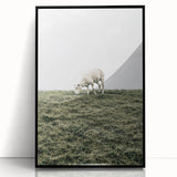 Farmhouse Wall Art - Grazing Sheep in Open Field with Rustic Charm