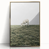 Farmhouse Wall Art - Grazing Sheep in Open Field with Rustic Charm