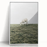 Farmhouse Wall Art - Grazing Sheep in Open Field with Rustic Charm