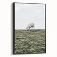 Farmhouse Wall Art - Grazing Sheep in Open Field with Rustic Charm
