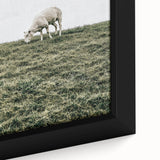 Farmhouse Wall Art - Grazing Sheep in Open Field with Rustic Charm