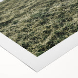 Farmhouse Wall Art - Grazing Sheep in Open Field with Rustic Charm