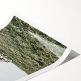 Farmhouse Wall Art - Grazing Sheep in Open Field with Rustic Charm