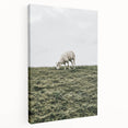 Farmhouse Wall Art - Grazing Sheep in Open Field with Rustic Charm