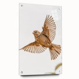 Farmhouse Wall Art | Rustic Sparrow in Flight | Vintage Country Style Print