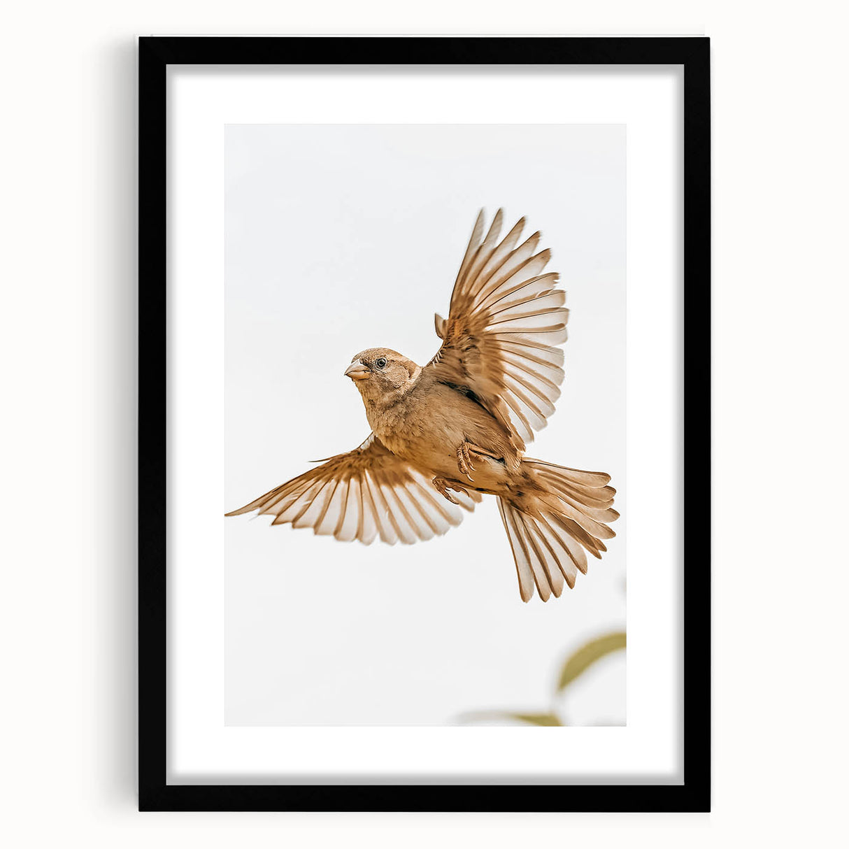 Farmhouse Wall Art | Rustic Sparrow in Flight | Vintage Country Style Print