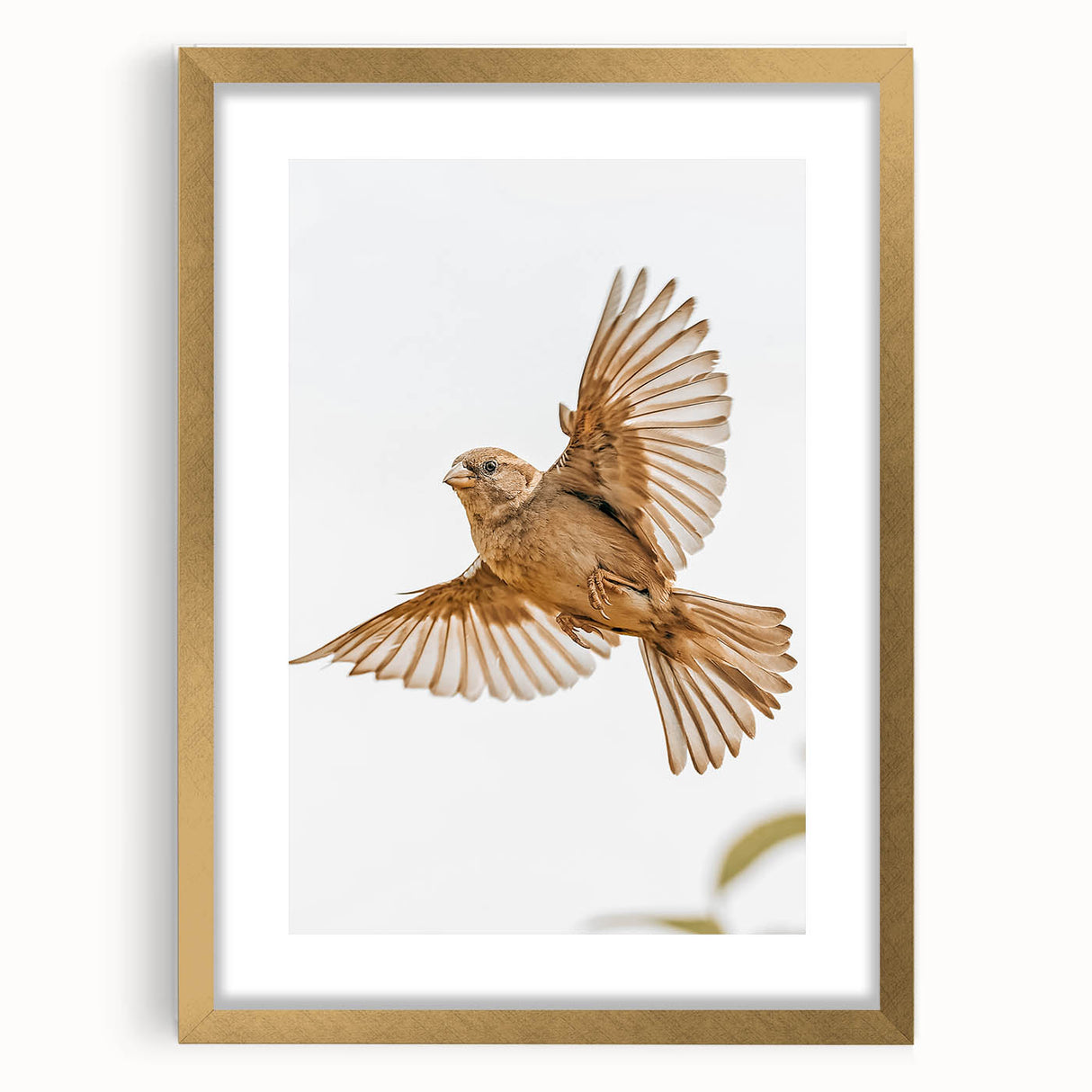 Farmhouse Wall Art | Rustic Sparrow in Flight | Vintage Country Style Print