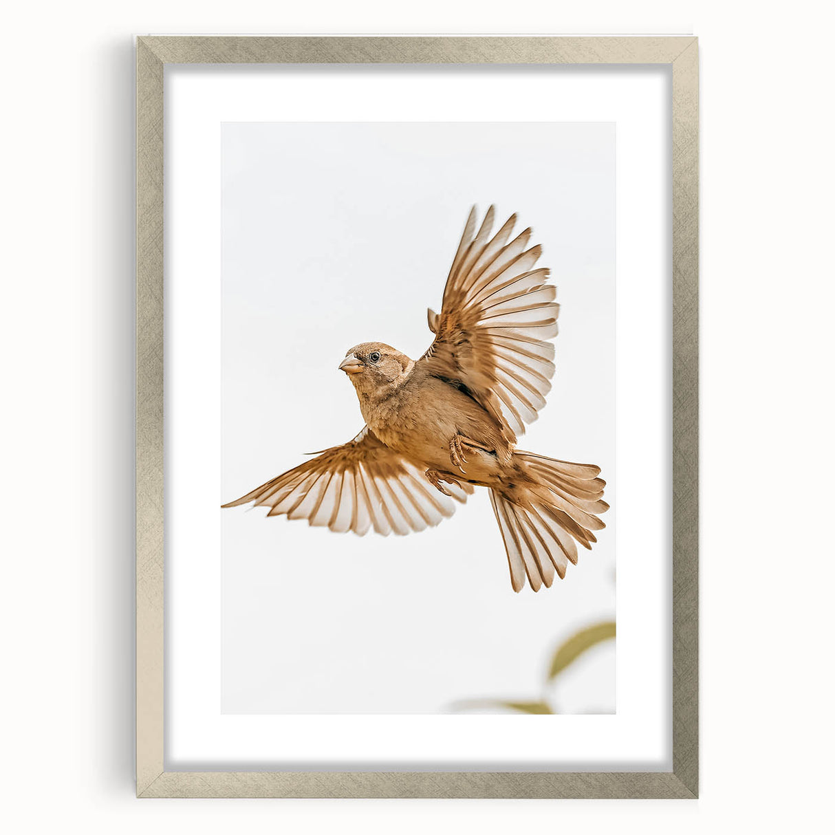 Farmhouse Wall Art | Rustic Sparrow in Flight | Vintage Country Style Print