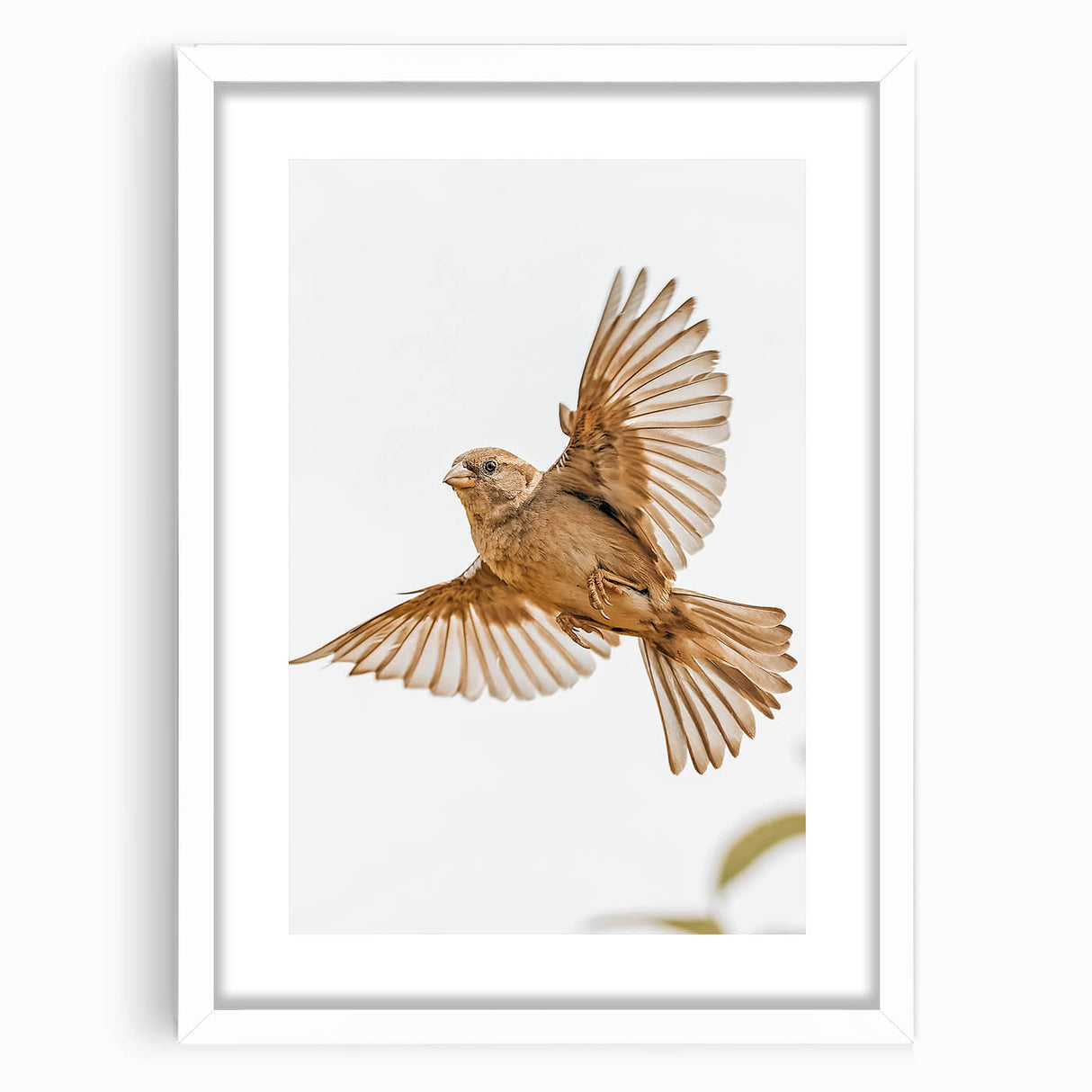 Farmhouse Wall Art | Rustic Sparrow in Flight | Vintage Country Style Print