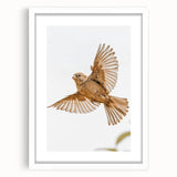 Farmhouse Wall Art | Rustic Sparrow in Flight | Vintage Country Style Print