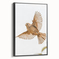 Farmhouse Wall Art | Rustic Sparrow in Flight | Vintage Country Style Print