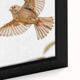 Farmhouse Wall Art | Rustic Sparrow in Flight | Vintage Country Style Print