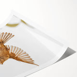 Farmhouse Wall Art | Rustic Sparrow in Flight | Vintage Country Style Print