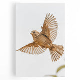 Farmhouse Wall Art | Rustic Sparrow in Flight | Vintage Country Style Print