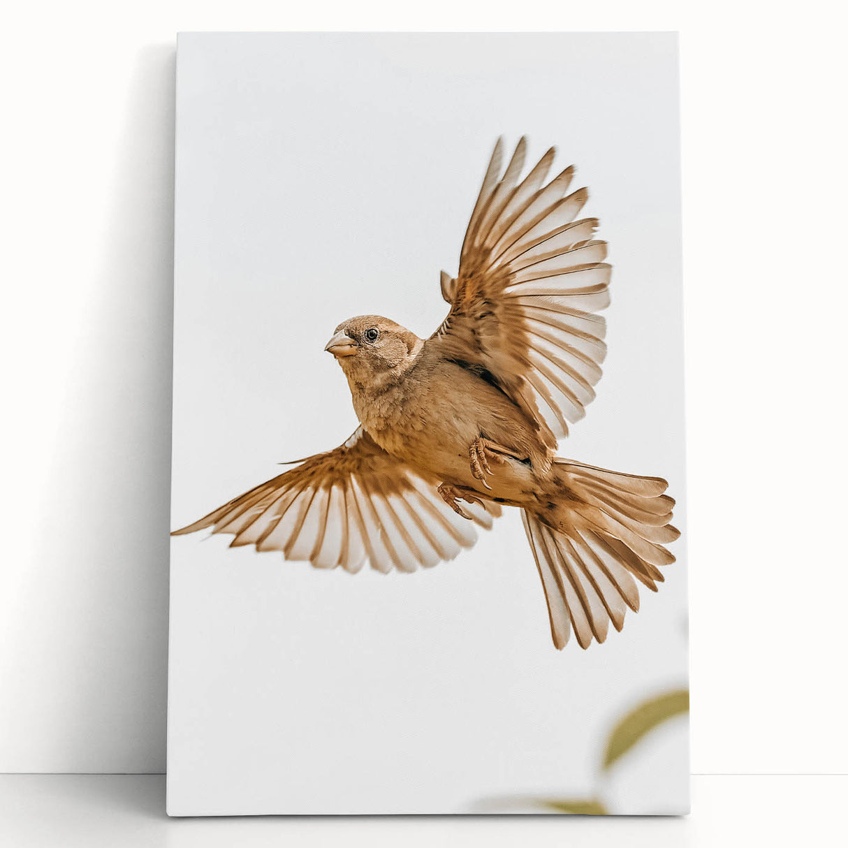 Farmhouse Wall Art | Rustic Sparrow in Flight | Vintage Country Style Print